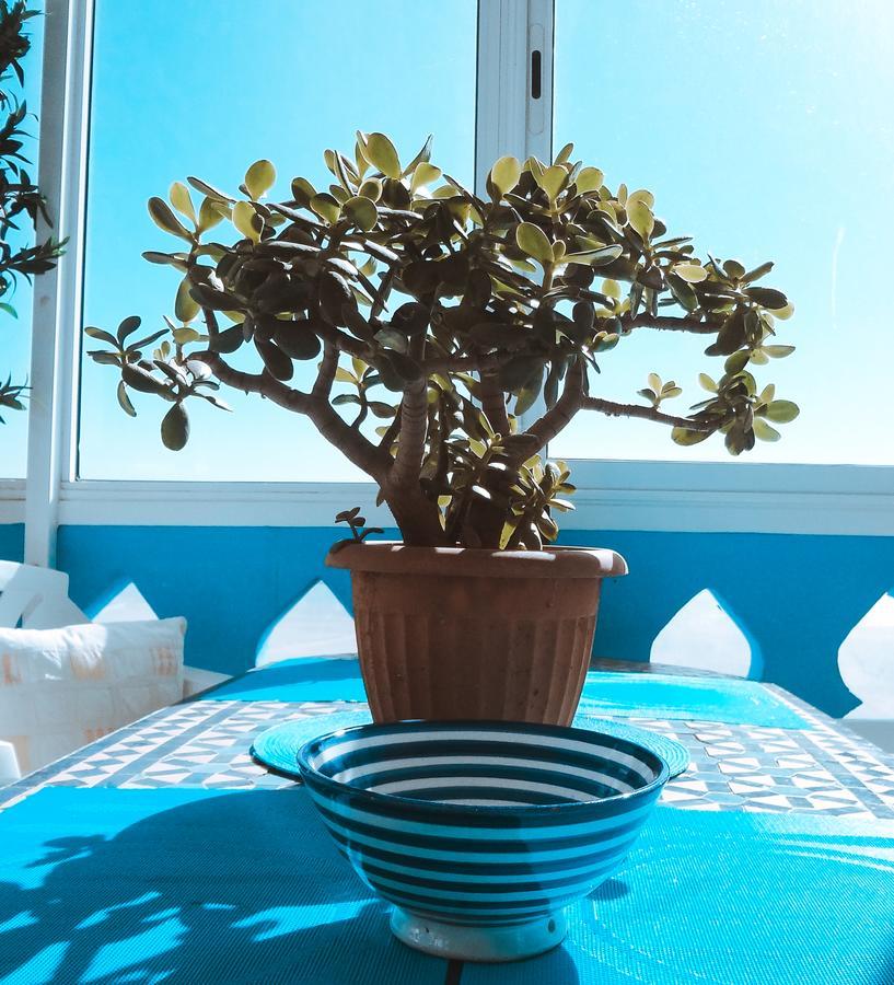 Surf & Yoga Paradise Morocco Hostel Tamraght Ou Fella Luaran gambar