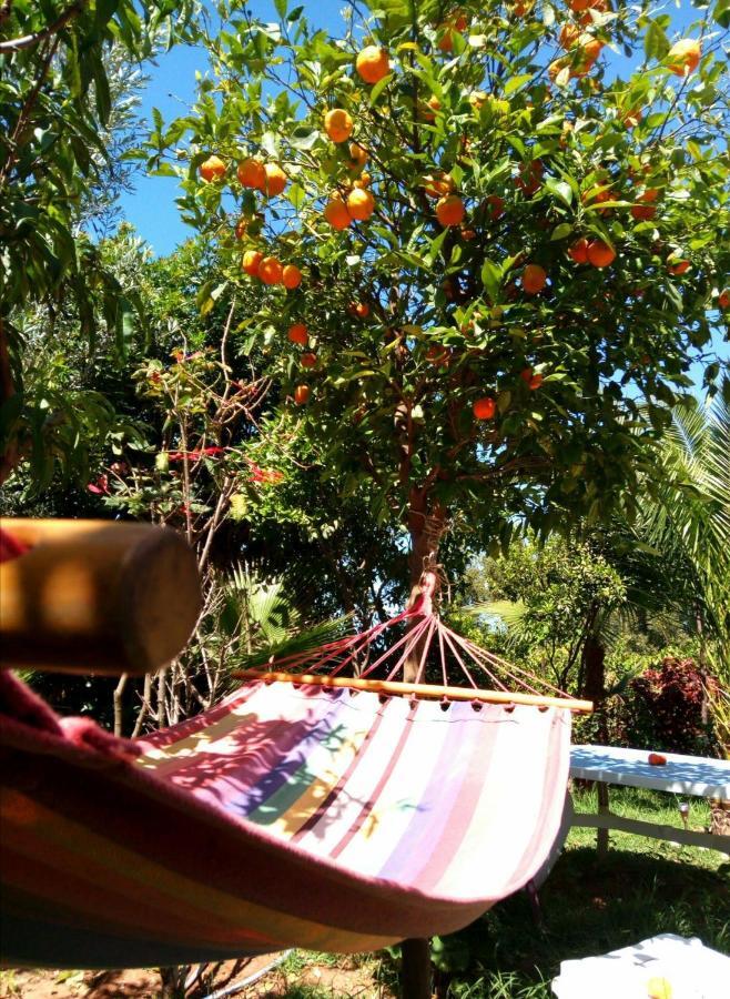 Surf & Yoga Paradise Morocco Hostel Tamraght Ou Fella Luaran gambar